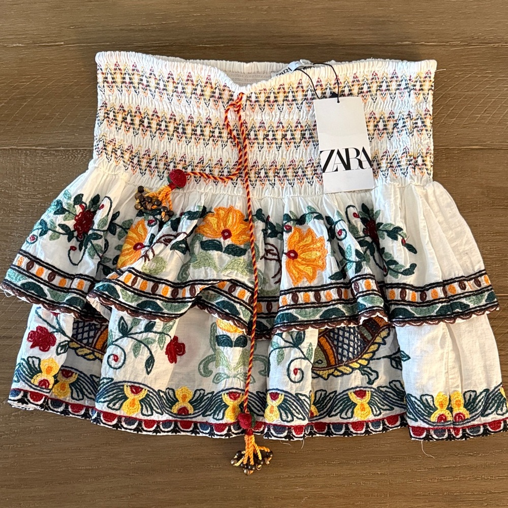 Zara Multicolor Embroidered Skirt